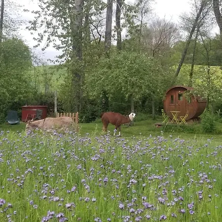 Nyaraló Tiny Balneo Proche Des Plages Du Debarquement Longraye