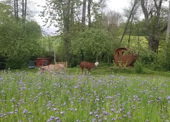 Nyaraló Tiny Balneo Proche Des Plages Du Debarquement Longraye